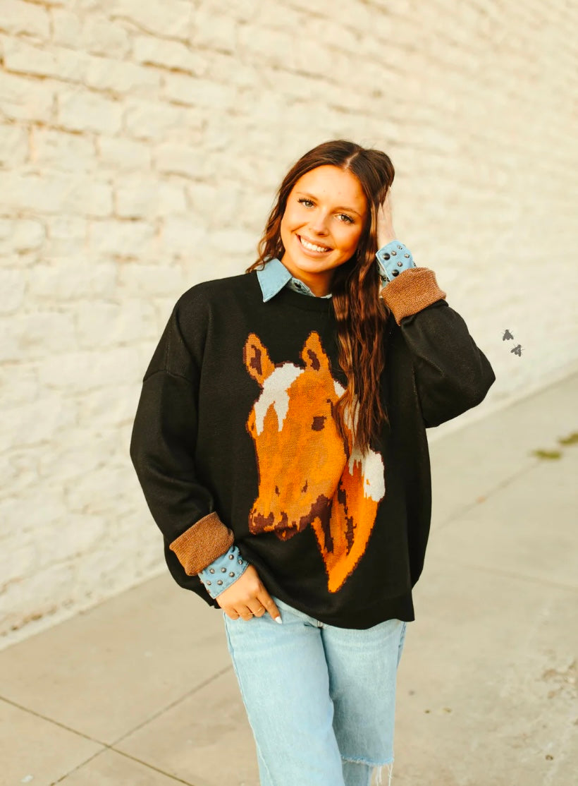 PECOS PALOMINO SWEATER