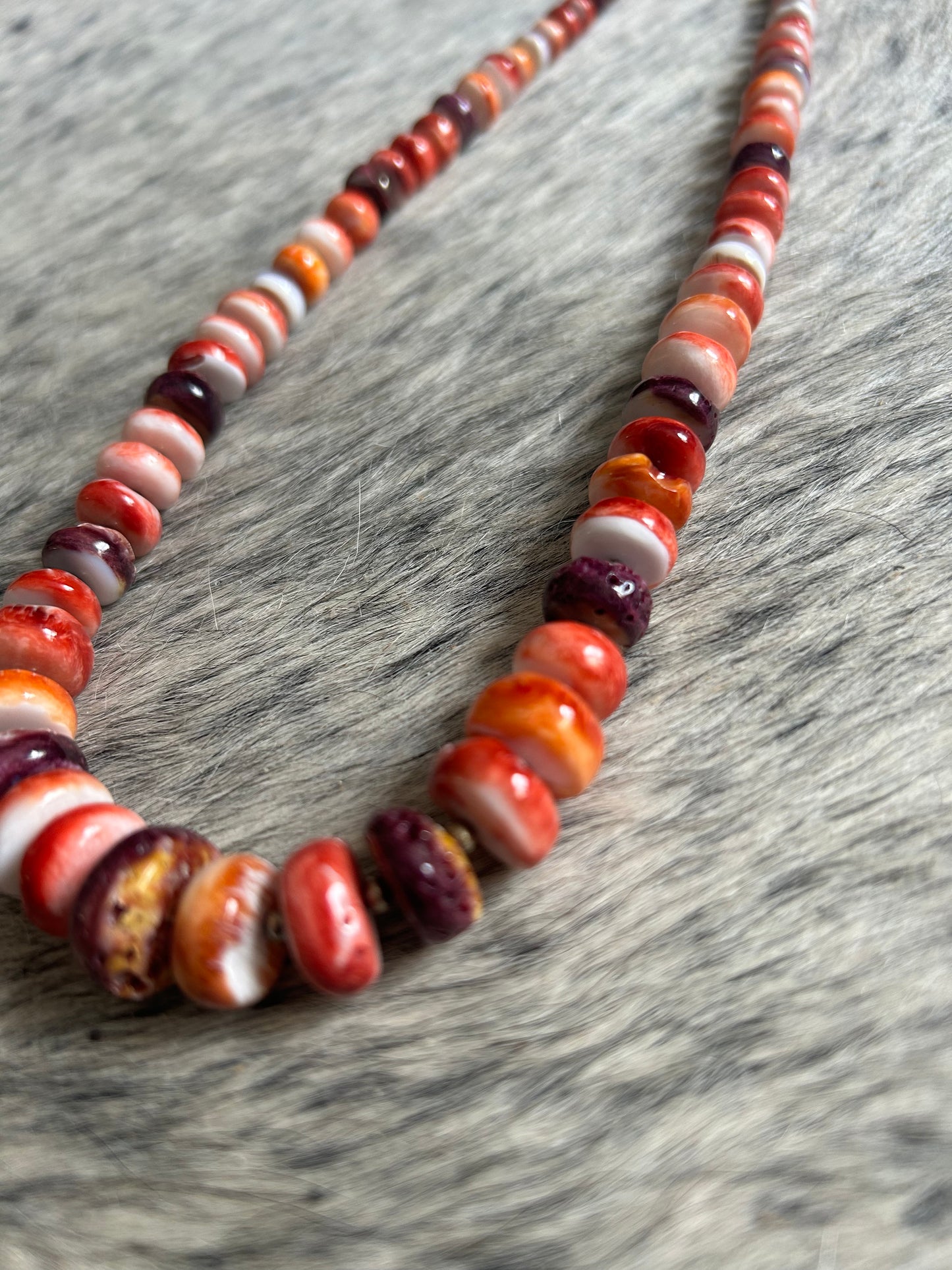 Orange, Red, & Purple Spiny Oyster 24in Native Made Necklace